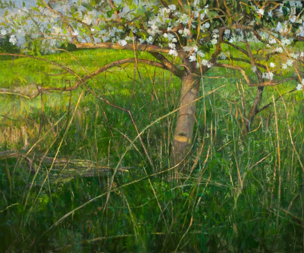Oil Painting of flowering trees, by artist Peter Fiore