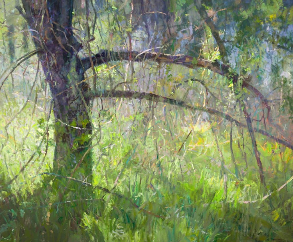 Oil Painting of backlit trees in grass, by artist Peter Fiore