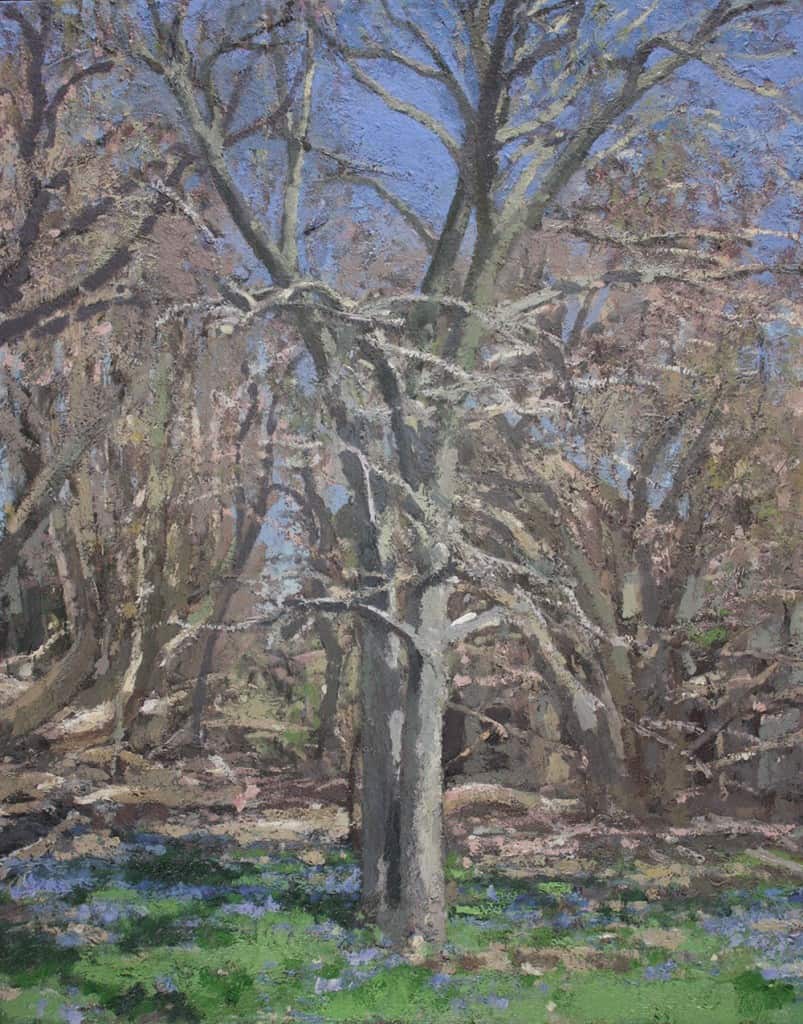 White Walnut with Bluebells 30x24 oil on linen
