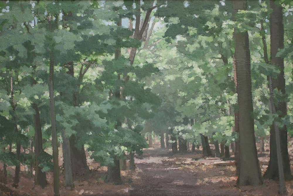 Mendon Ponds Woods, 24x36 inches, oil on linen, 2016